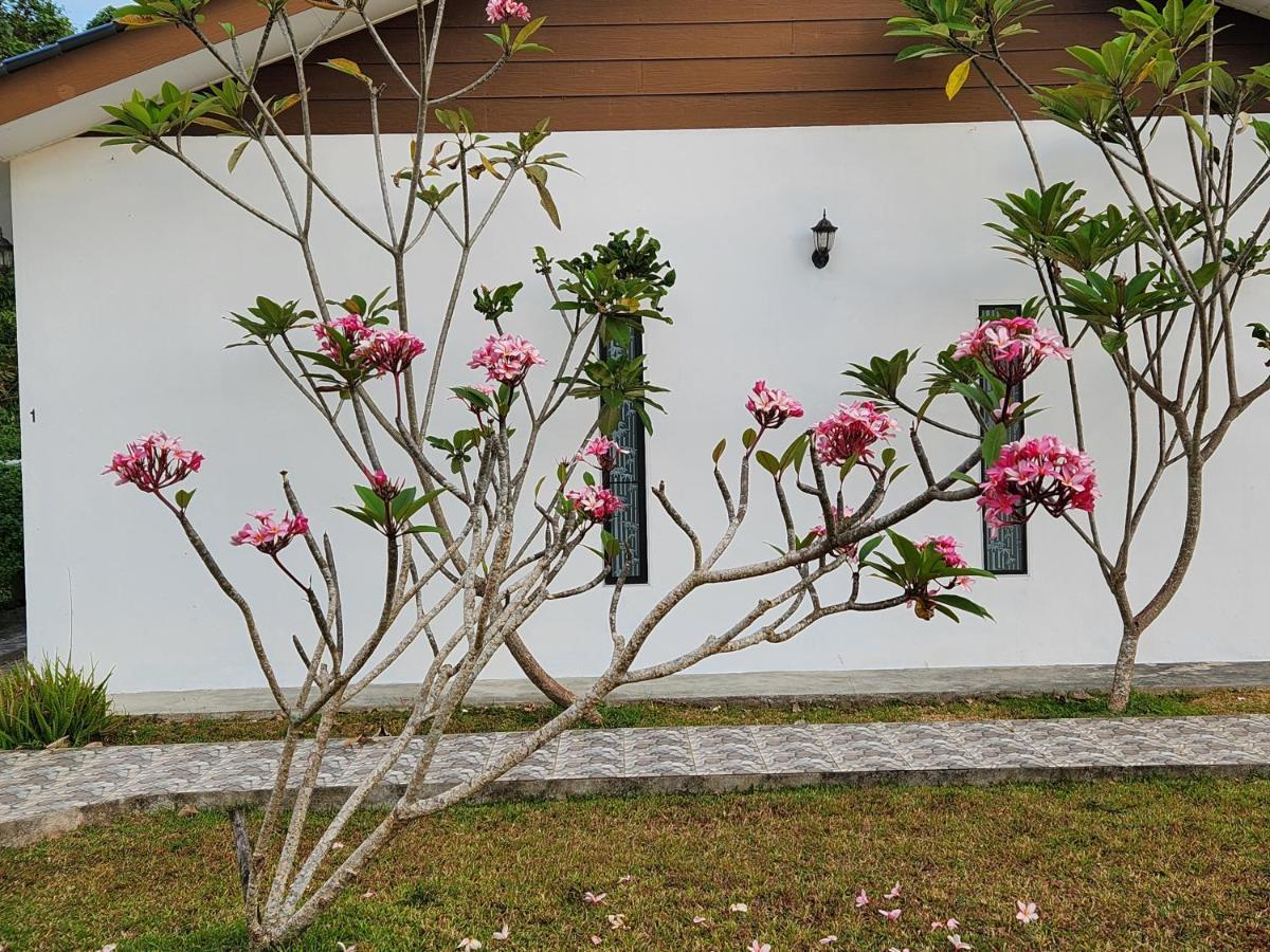 Halcyon Days @ Langkawi Apartment Pantai Cenang  Ngoại thất bức ảnh