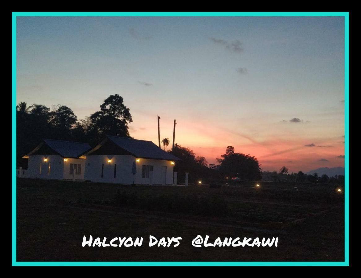 Halcyon Days @ Langkawi Apartment Pantai Cenang  Ngoại thất bức ảnh